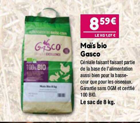 maïs bio gasco