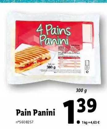 Pain Panini