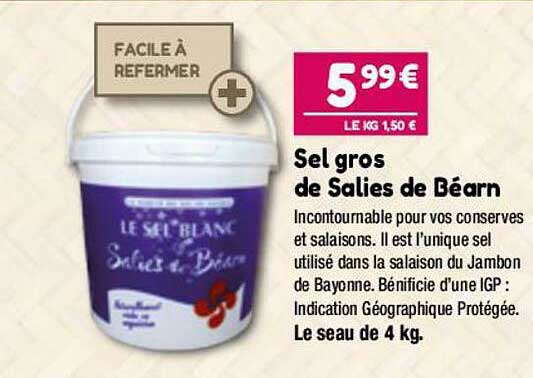 sel gros de salies de béarn