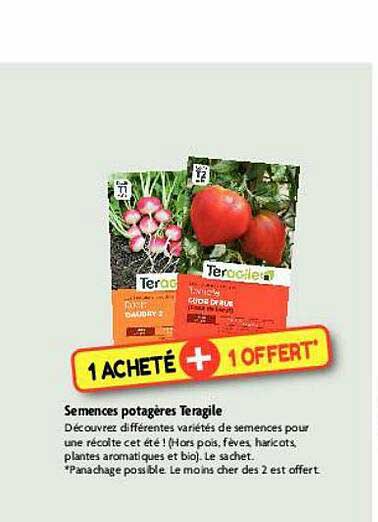 semences potagères teragile