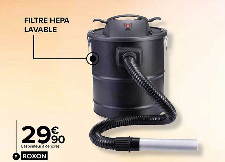l'aspirateur à cendres roxon