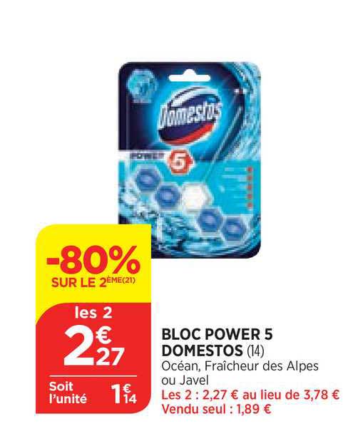 Bloc Power 5 Domestos