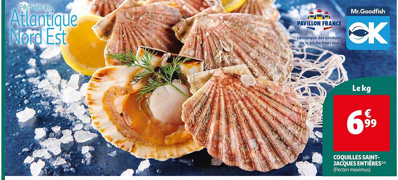 coquilles saint-jacques entières