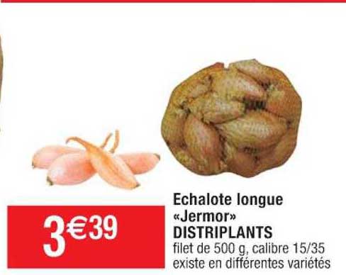 echalote longue "jermor" distriplants
