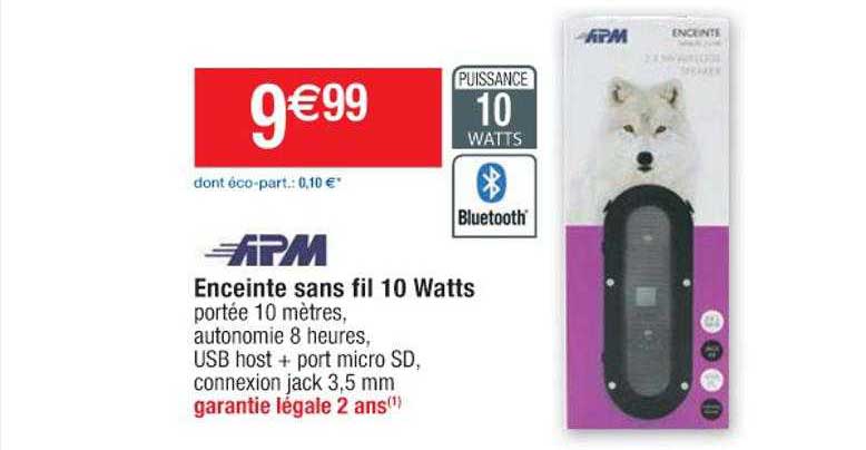 Enceinte Sans Fil 10 Watts Apm
