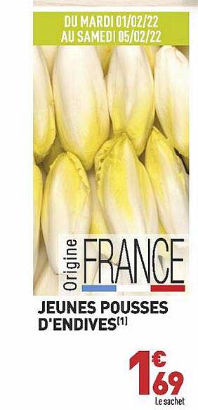 jeunes pousses d'endives