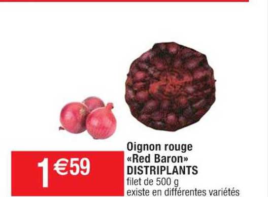 oignon rouge "red baron distriplants