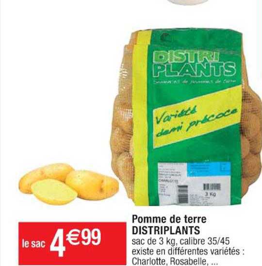 pomme de terre distriplants