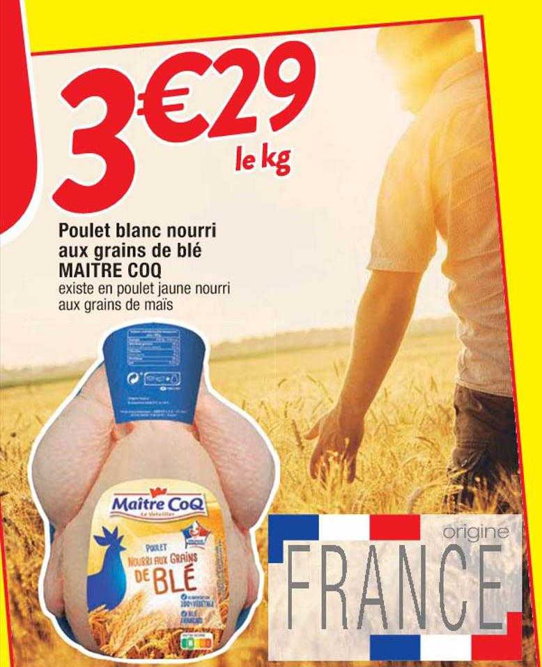 poulet blanc nourri aux grains de blé maître coq