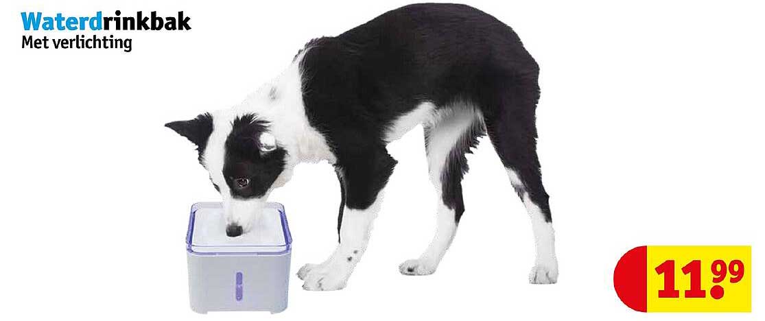 waterdrinkbak met verlichting