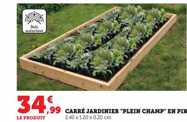 carré jardinier "plein champ" en pin