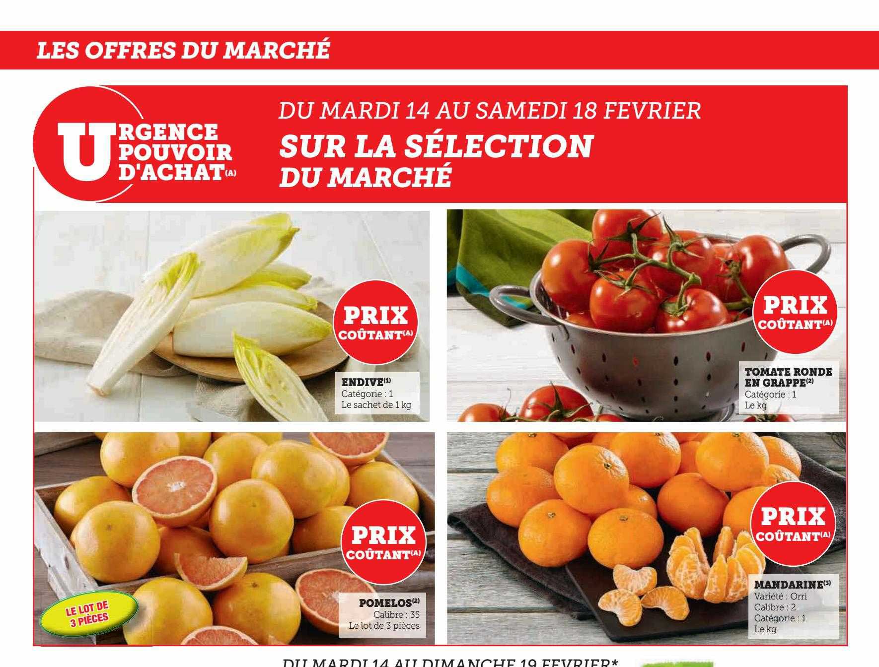 Endive, Pomelos, Tomate Ronde En Grappe, Mandarine