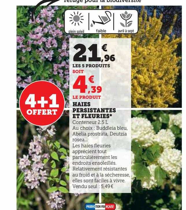 haies persistantes et fleuries