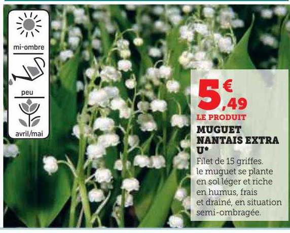 muguet nantais extra u