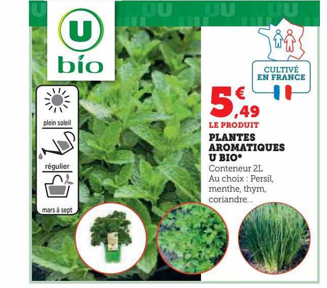 Plantes Aromatiques U Bio