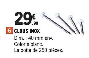 clous inox