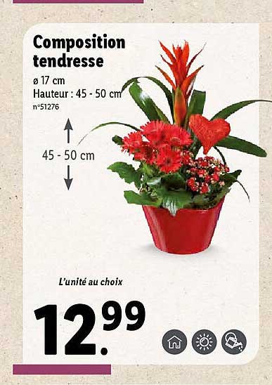 composition tendresse