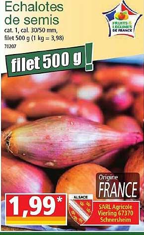 échalotes De Semis
