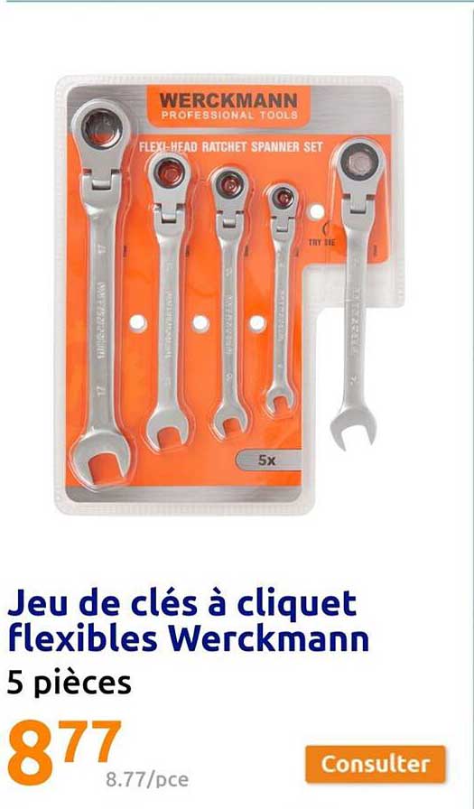 Jeu De Clés à Cliquet Flexibles Werckmann