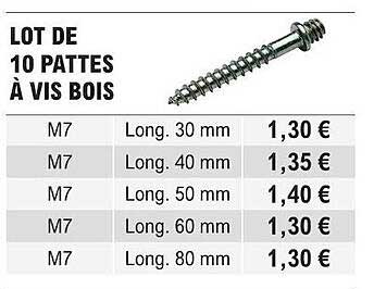 lot de 10 pattes à vis bois