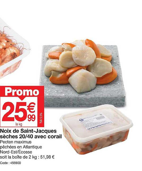 noix de saint-jacques sèches 20 40 avec corail