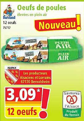 œufs de poules élevées en plein air bureland