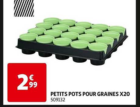 petits pots pour graines x 20