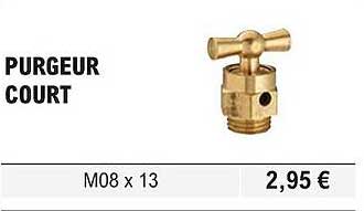 purgeur court