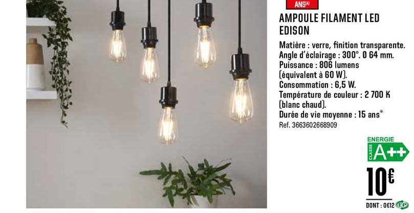 ampoule filament led edison