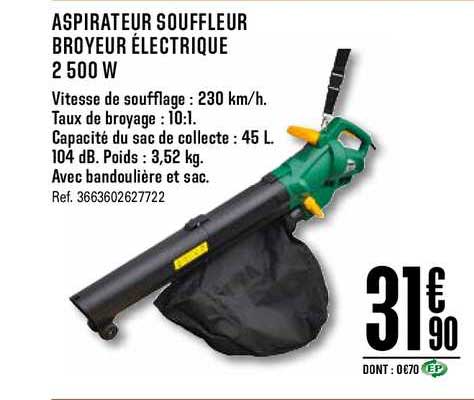 Aspirateur Souffleur Broyeur électrique 2500 W