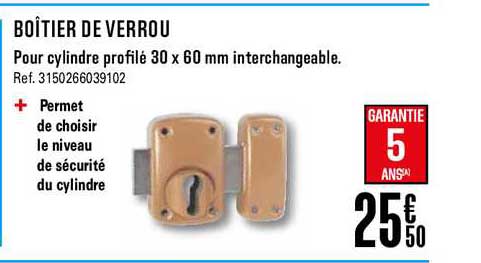 boitier de verrou pour cylindre profilé 30 x 60 mm interchangeable