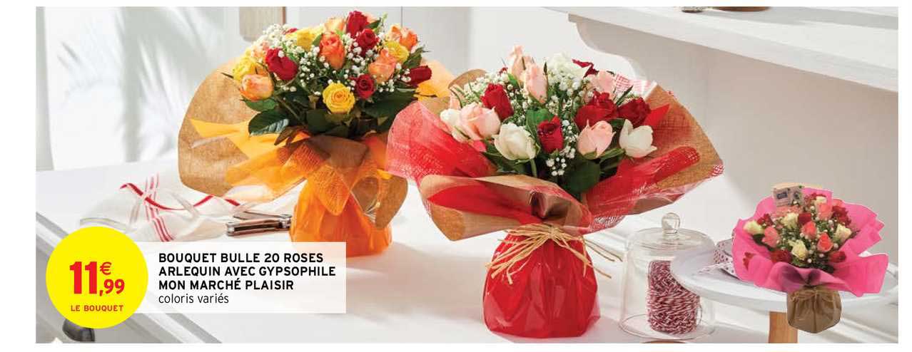 Bouquet Bulle 20 Roses Arlequin Avec Gypsophile Mon Marché Plaisir