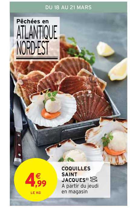 coquilles saint jacques