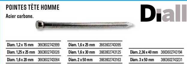 Pointes Tête Homme Diall