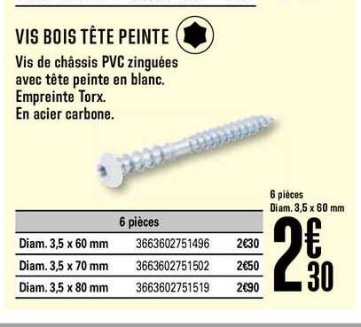 vis bois tête peinte