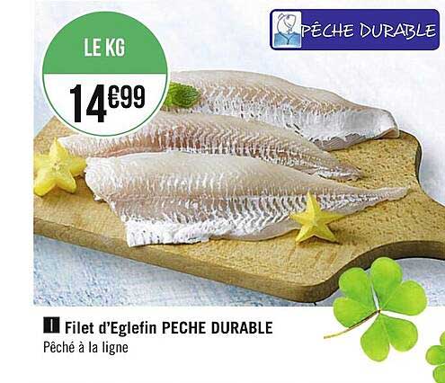 Filet D'églefin Pêche Durable