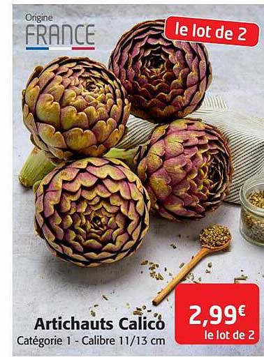 artichauts calico
