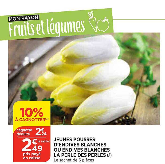 jeunes pousses d'endives blanches ou endives blanches la perle des perles