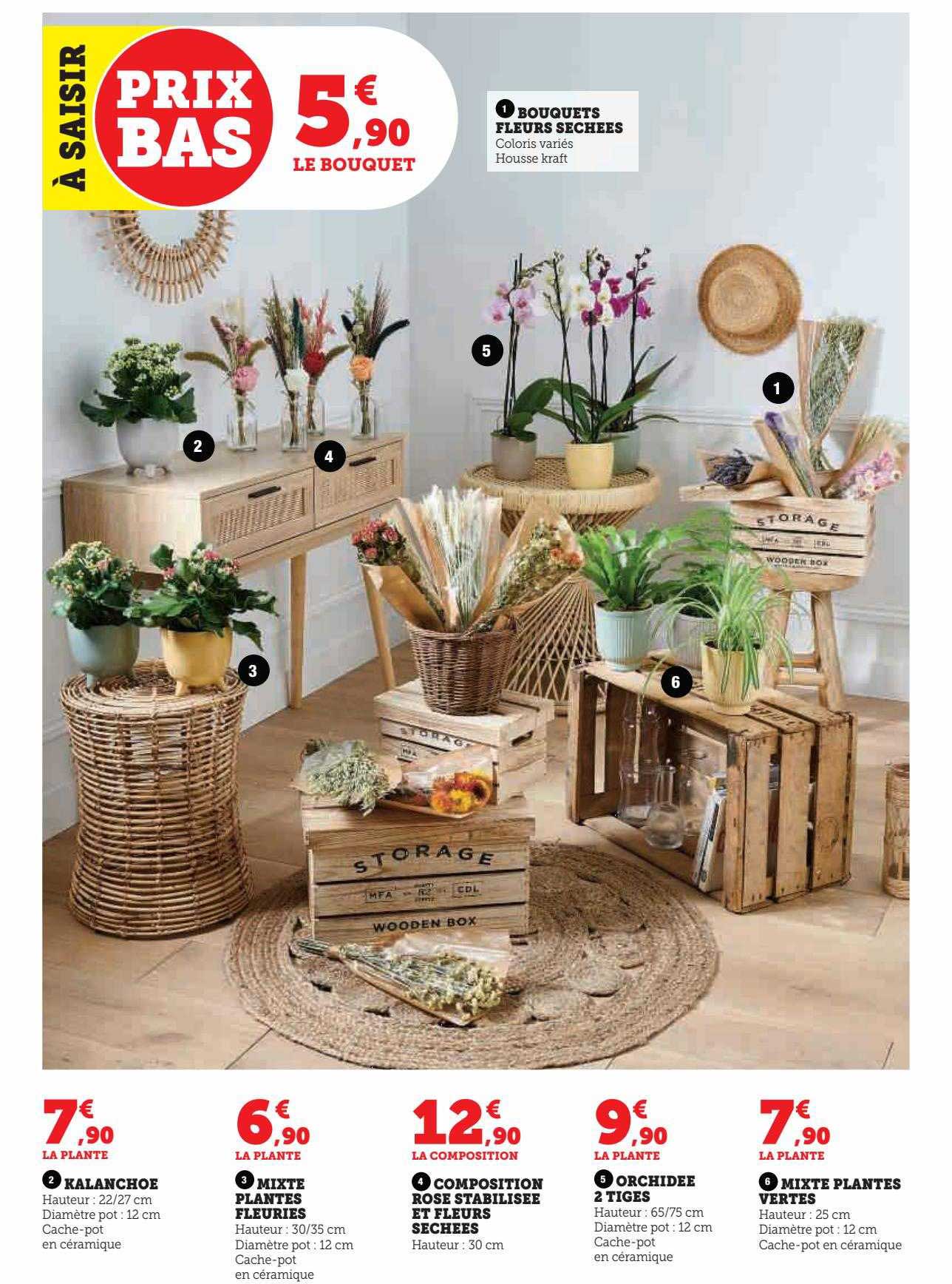 bouquets fleurs séchées, kalanchoe, mixte plantes fleuries, composition rose stabilisée et fleurs séchées, orchidée 2 tiges, mixte plantes vertes