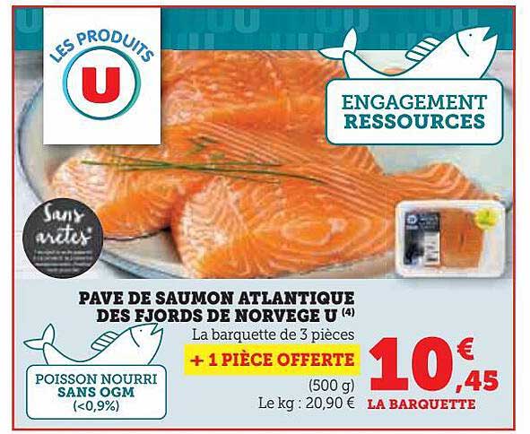 Pavé De Saumon Atlantique Des Fjords De Norvège U