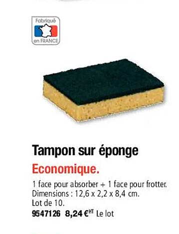 tampon sur éponge economique