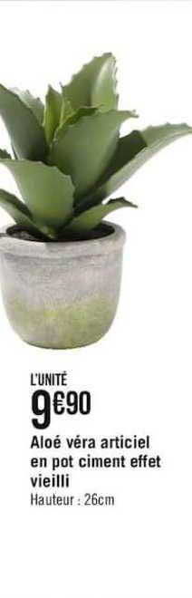 Aloé Véra Artificiel En Pot Ciment Effet Vieilli