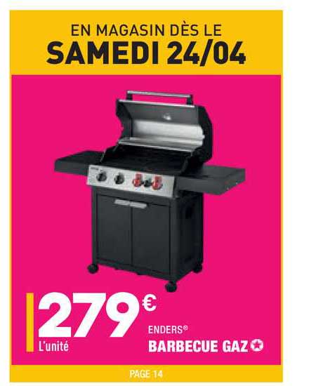 barbecue gaz enders