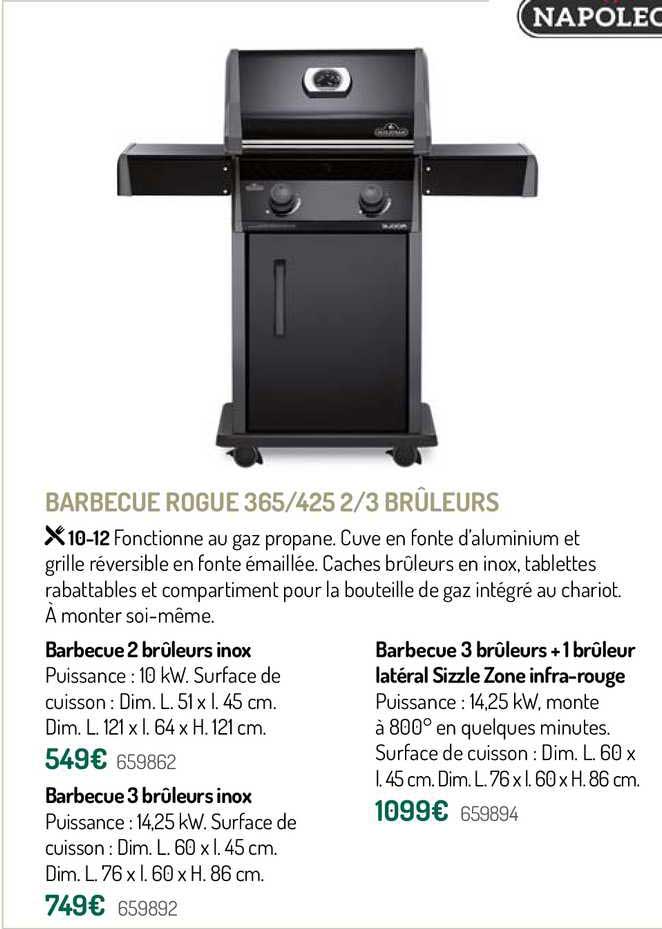 Barbecue Rogue 365-425 2-3 Brûleurs