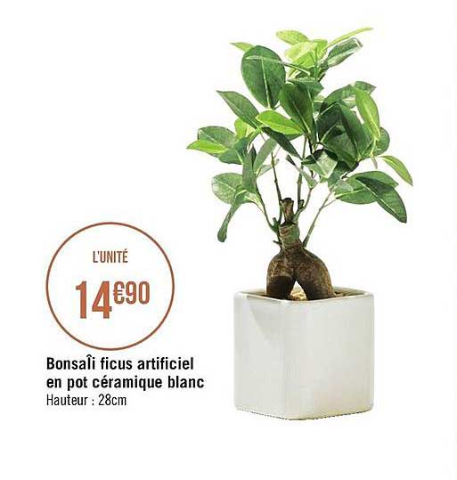 bonsaîi ficus artificiel en pot céramique blanc