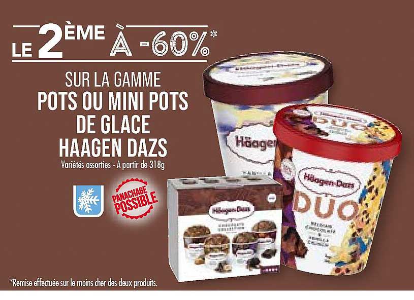 la gamme pots ou mini pots de glace häagen dazs
