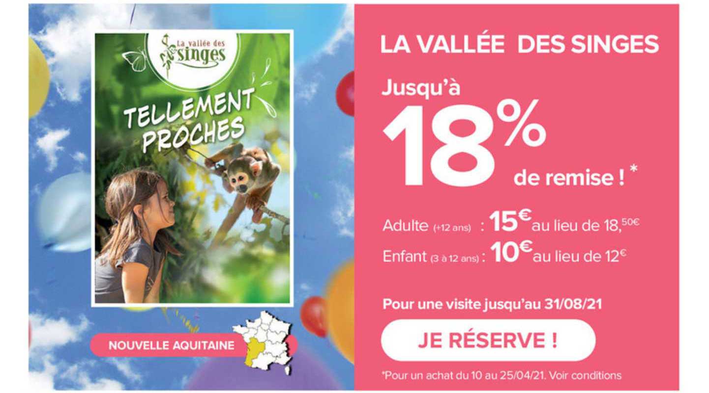 la vallée des singes
