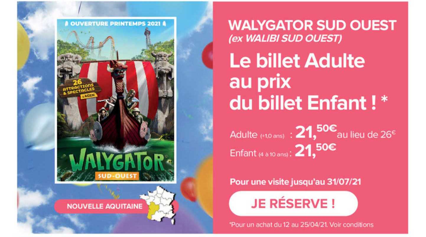 walygator sud ouest