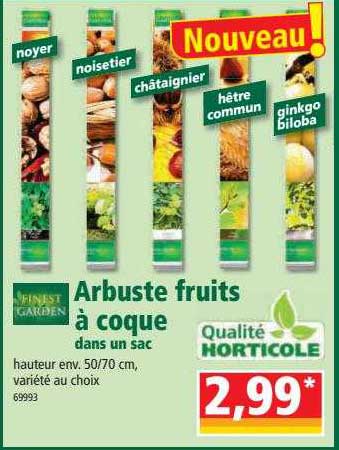 arbuste fruits à coque dans un sac finest garden