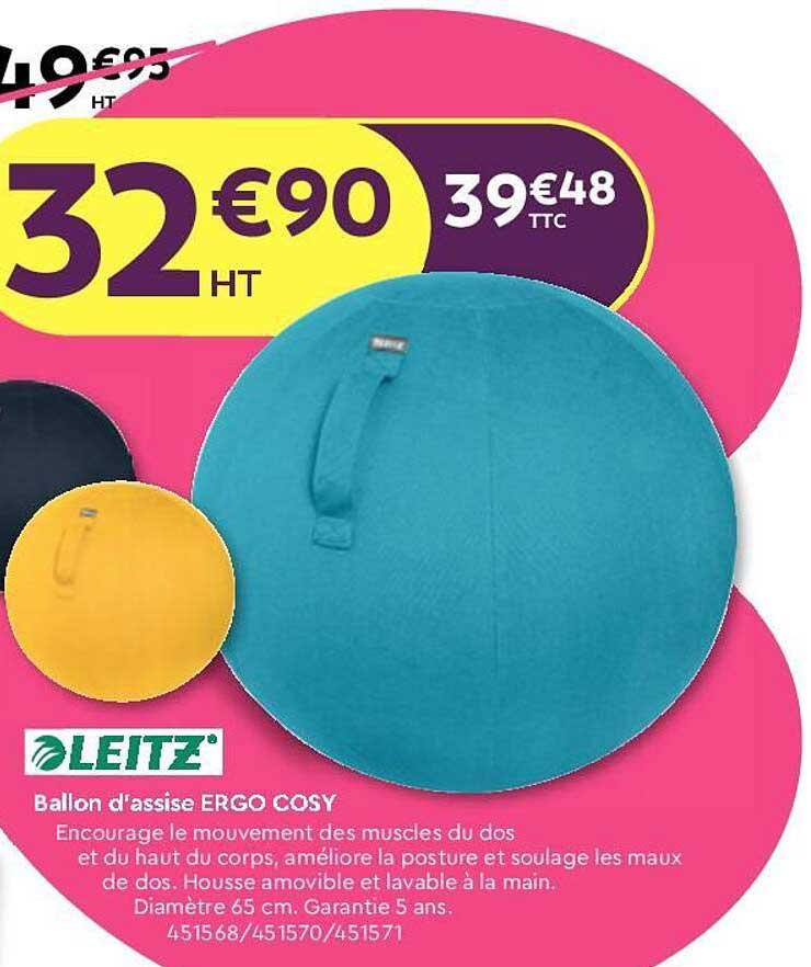 ballon d'assise ergo cosy leitz